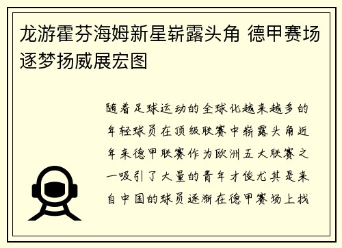 龙游霍芬海姆新星崭露头角 德甲赛场逐梦扬威展宏图