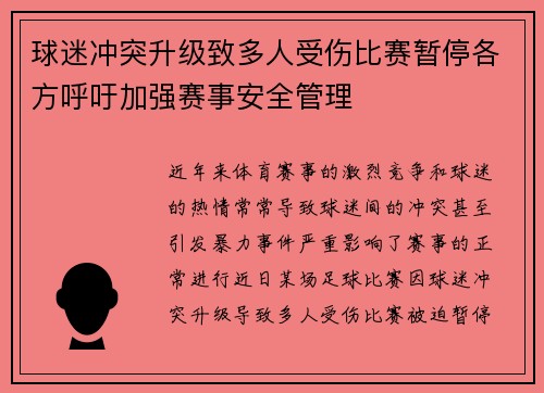 球迷冲突升级致多人受伤比赛暂停各方呼吁加强赛事安全管理