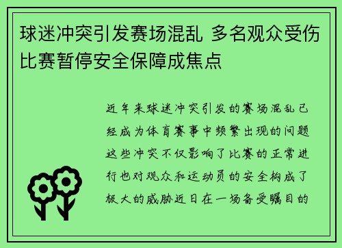 球迷冲突引发赛场混乱 多名观众受伤比赛暂停安全保障成焦点